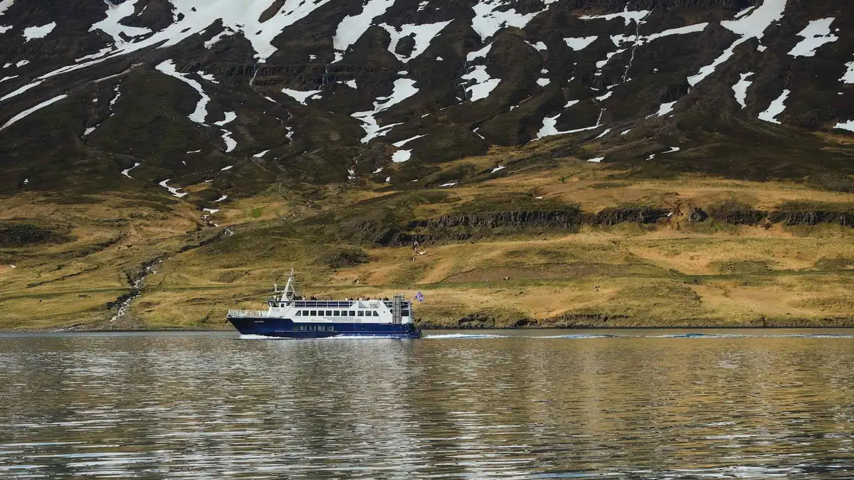 A small tour boat below the sea cliffs of Skálanesbjarg outside the fjord, the sailing option among Seyðisfjörður tours in East Iceland